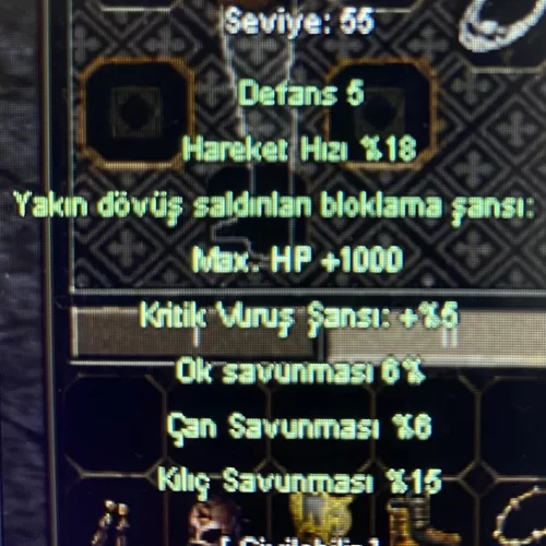  +7 ANKA AYAKKABI KILIÇ SAV 1 V  1